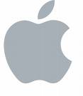 Apple logo grey