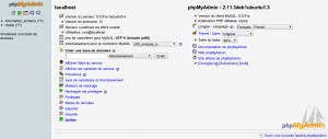 PHPMyAdmin main page