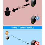 Détection des attaques DDOS avec Nagios