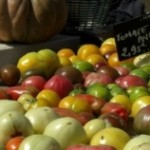 Le panier du marché libre #12