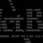 Installation de NetBSD sur un serveur XEN