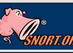 Comment surveiller son réseau avec le cochon Snort ?